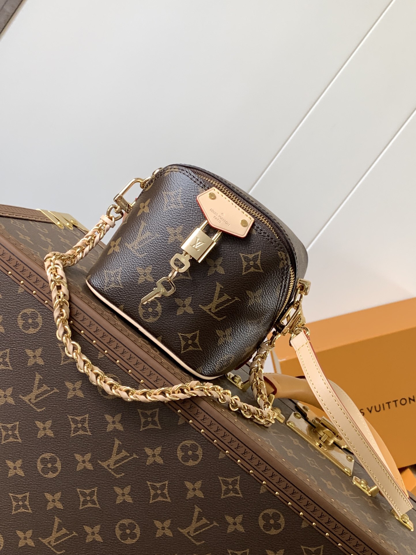 TOP Louis Vuitton LV Just In Case Bag 13 x 14 x 11.5 cm - Monogram