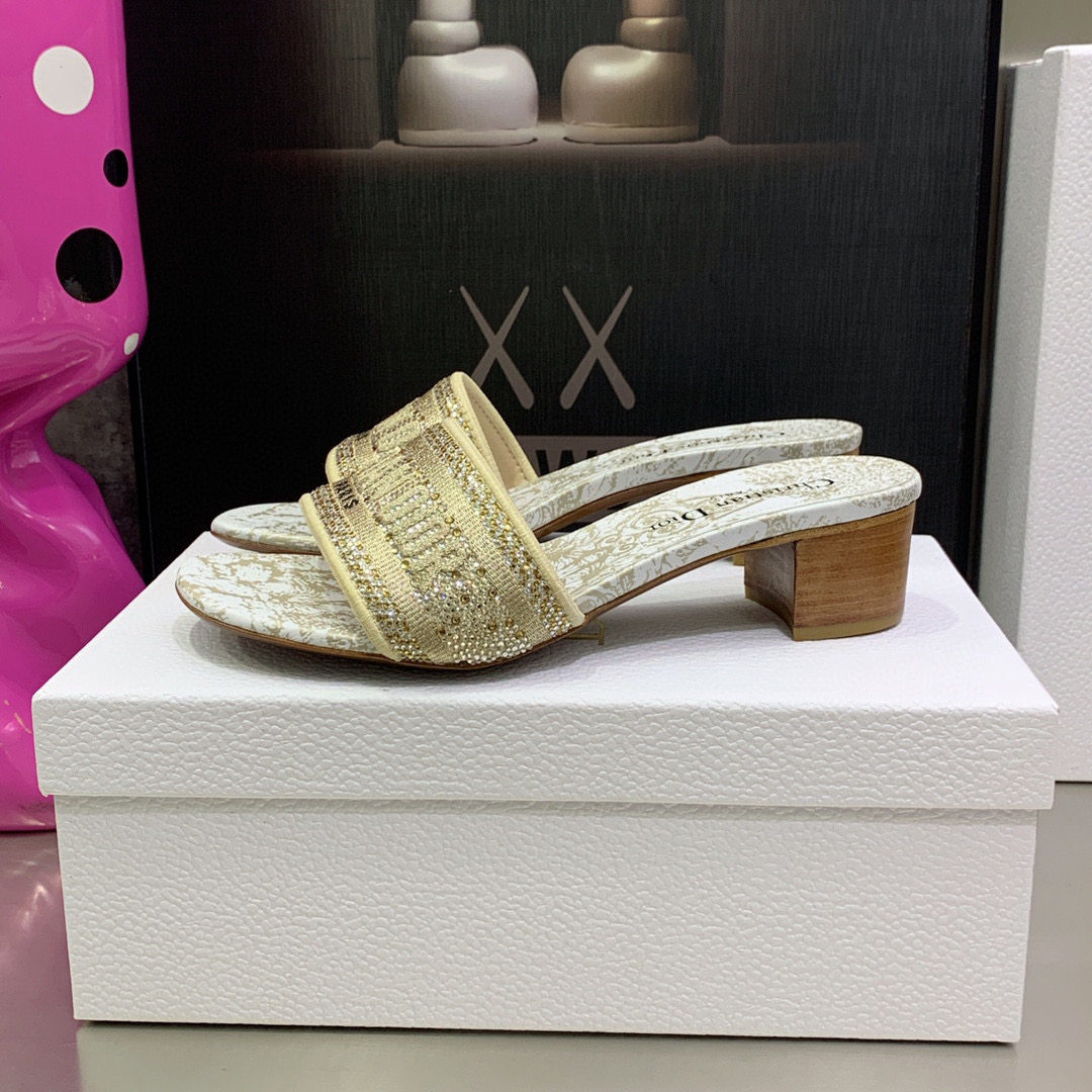 TOP Christian Dior Around the World Stella Embroidered high heels Slides - 5 Colours