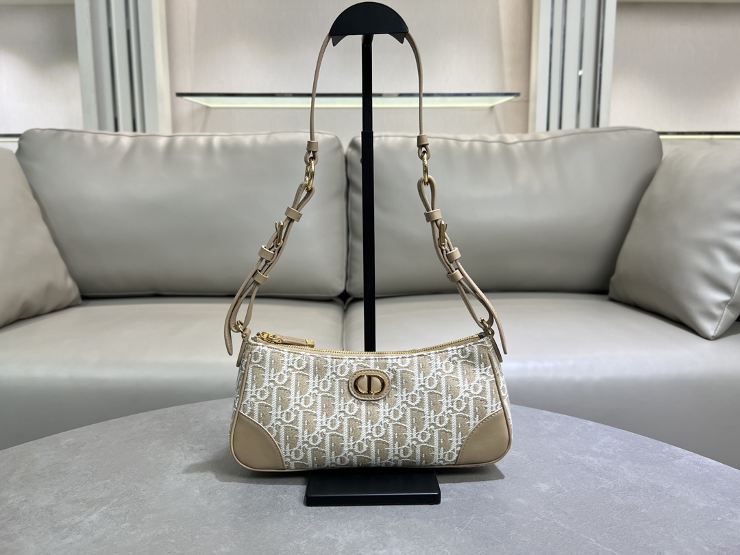 TOP Christian Dior Wanderlust Bag 26×12×7cm -2 Colors