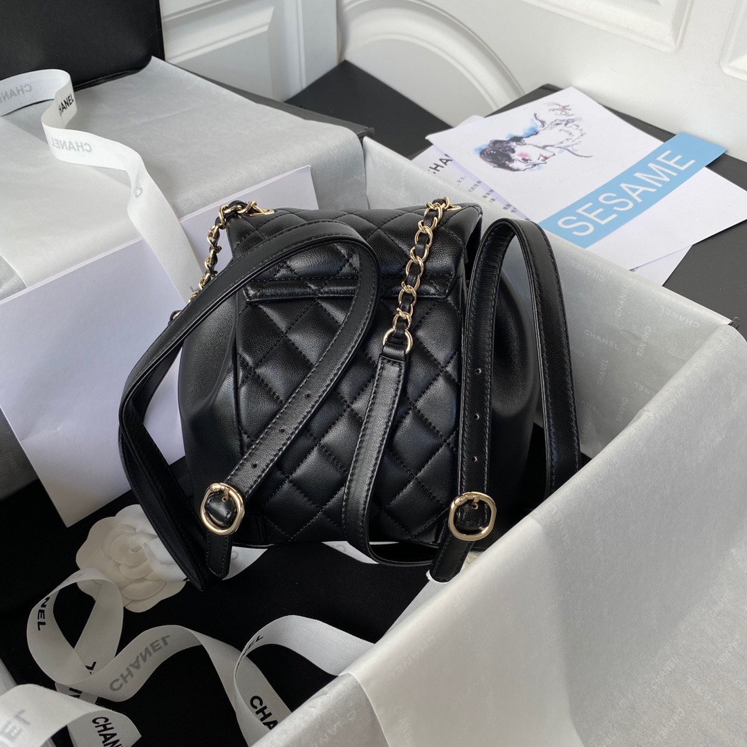 TOP CHANEL DUMA BackPack 18×18×12cm - Black/White & GHW