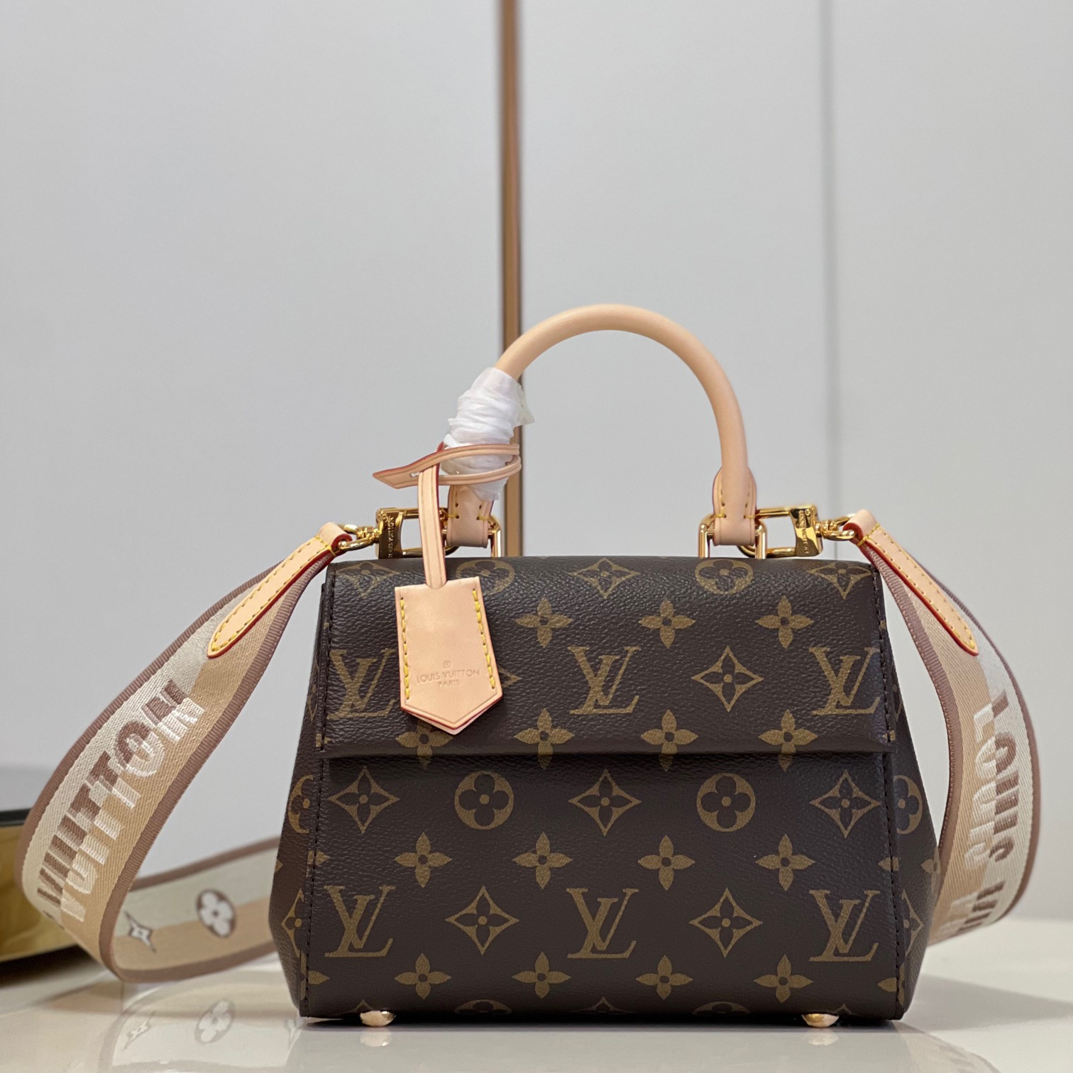 Louis Vuitton Cluny BB M46055