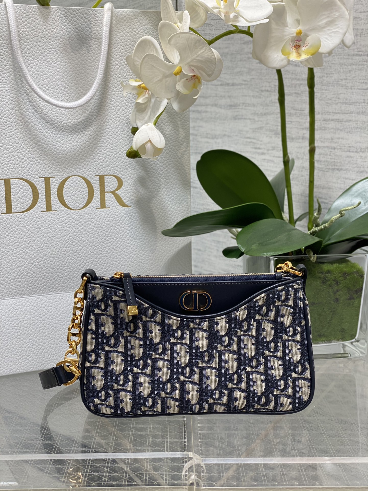 TOP Christian Dior Hobo Avenue Bag 21×13×5cm - Blue