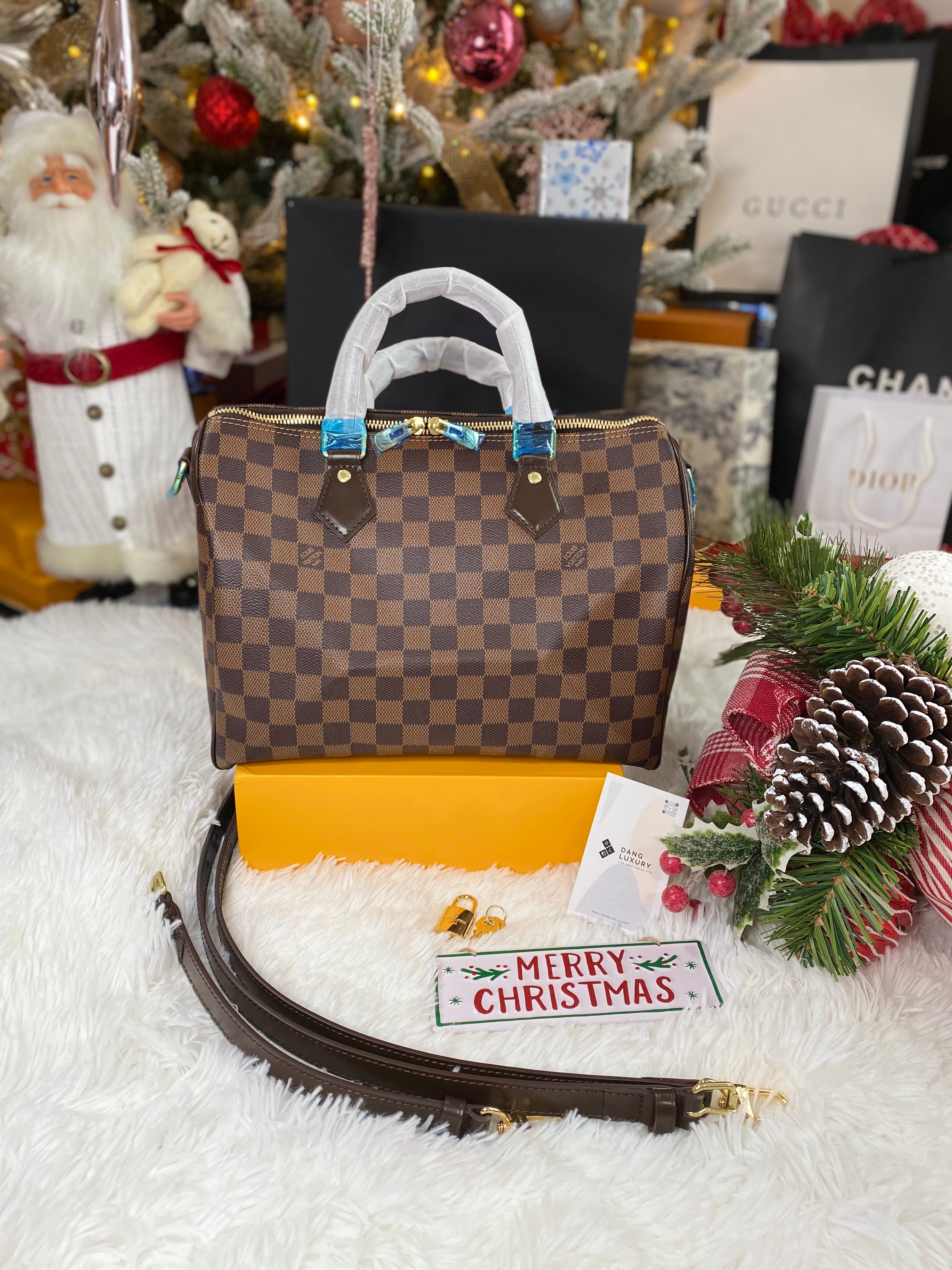 TOP Louis Vuitton LV  Speedy 30 Bag 30x21x17cm - Damier Ebene