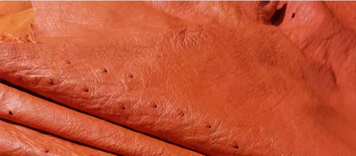 TOP HERMES Customised  Kelly Cut Ostrich Leather 31CM - Orange - GHW&SHW