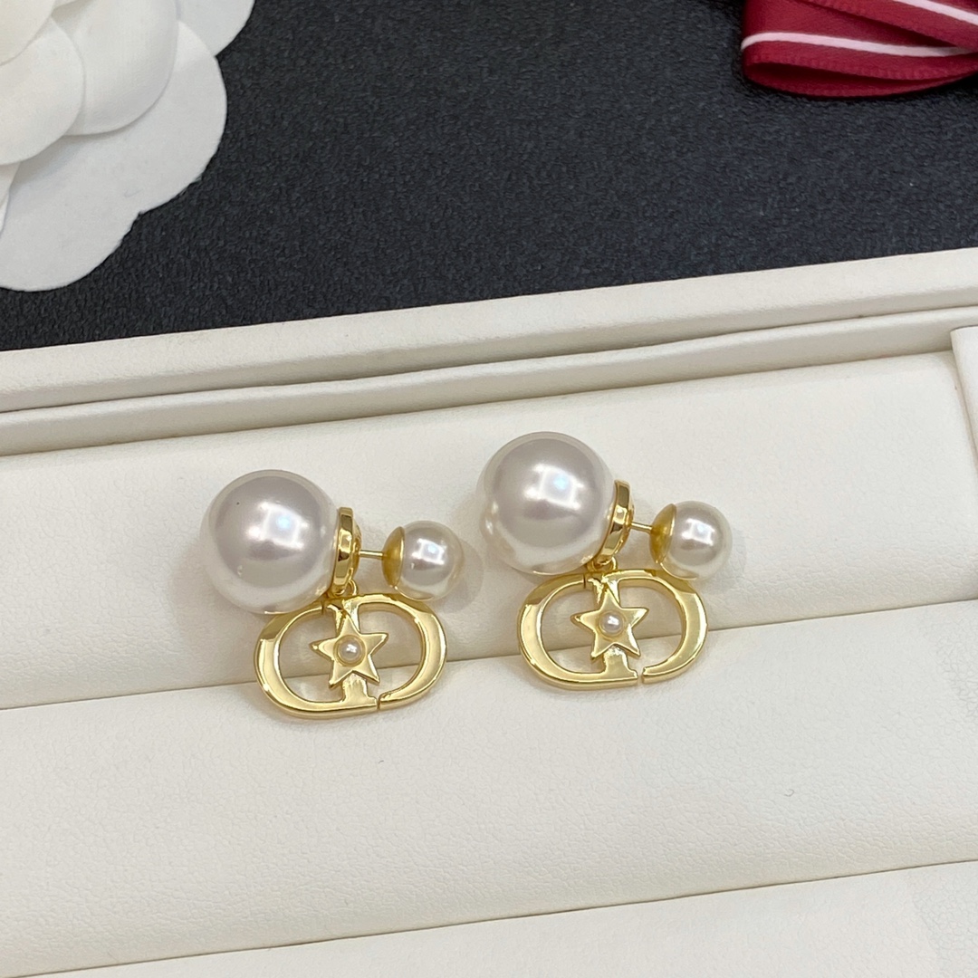 TOP Christian Dior Earrings - 2 Colors