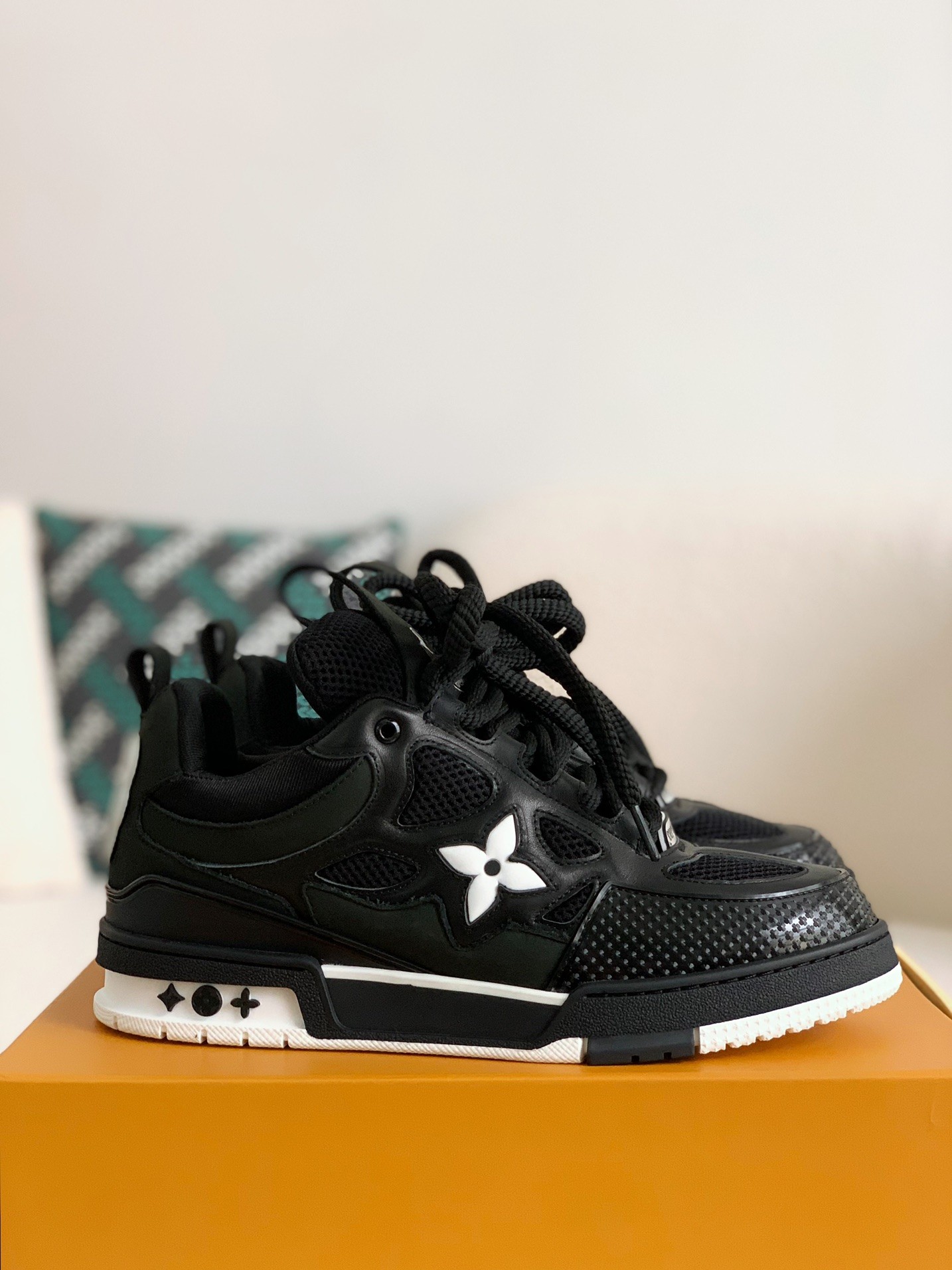 Louis Vuitton Black Skate Shoes