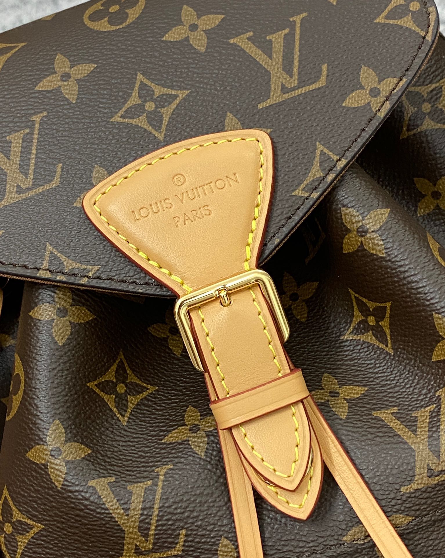 Louis Vuitton Montsouris PM M45501