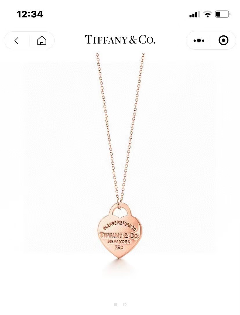 TOP Tiffany & Co. Necklace-3 Colors