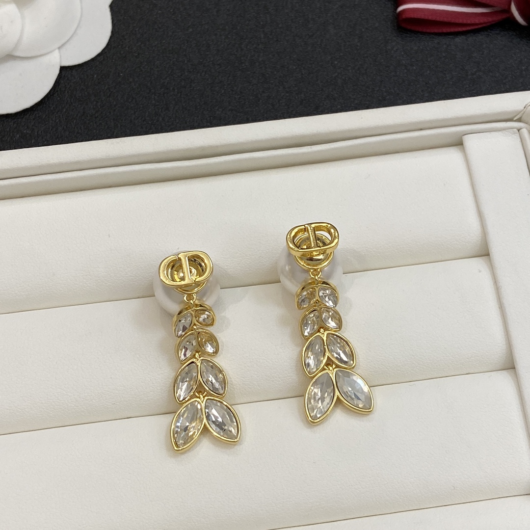 TOP Christian Dior Earrings - Gold
