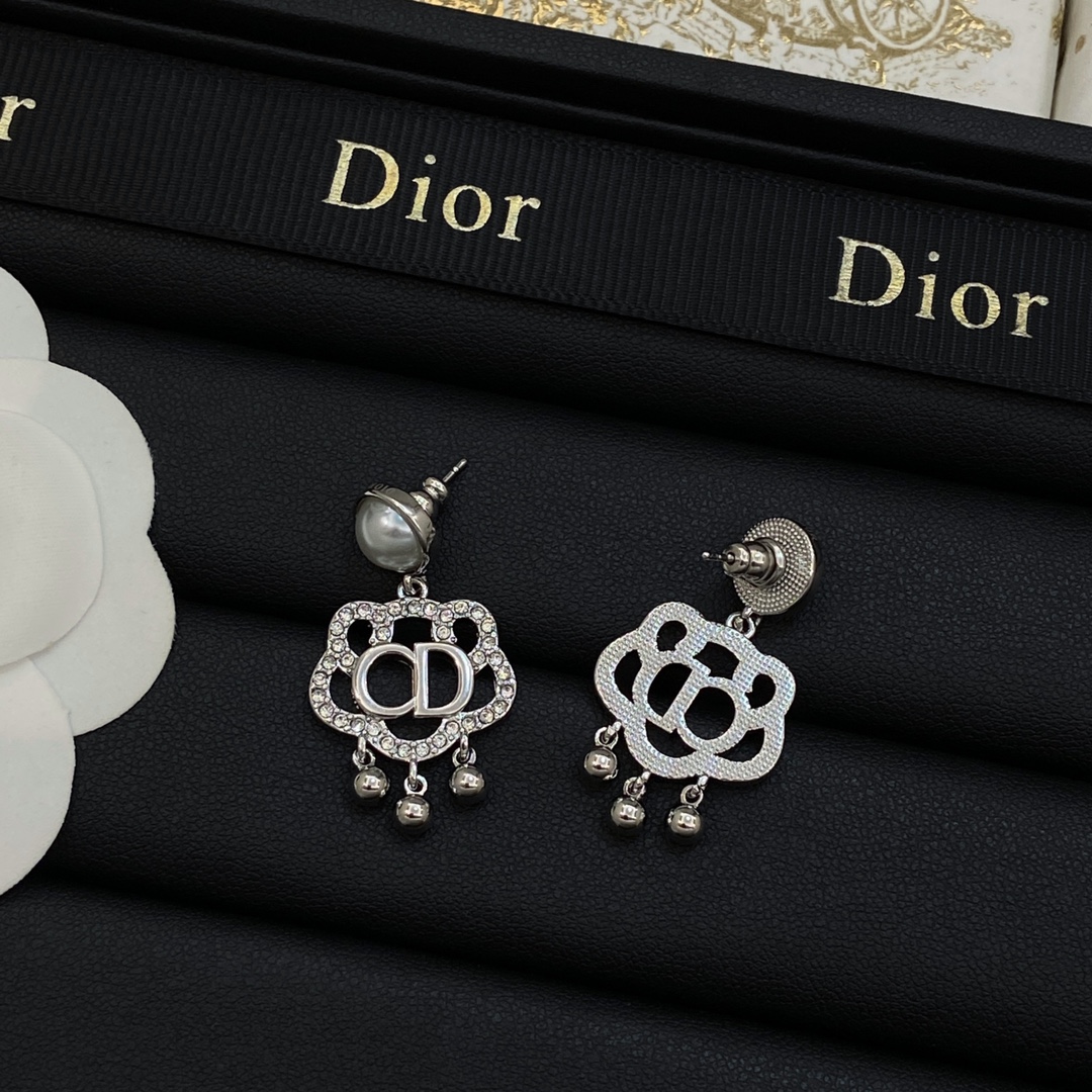 TOP Christian Dior Earring - 2 Colors