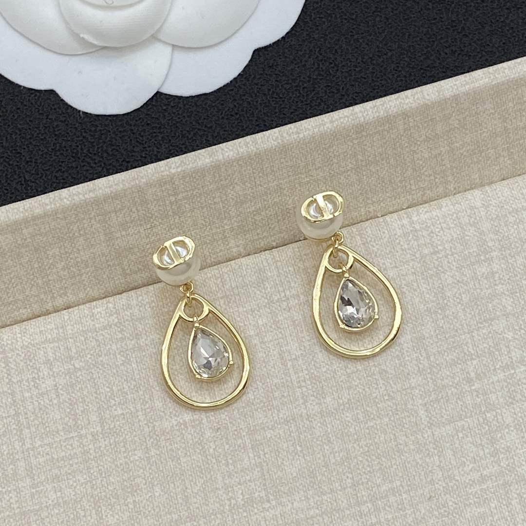 TOP Christian Dior Earrings - Gold