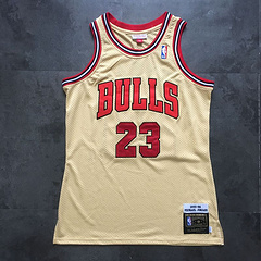Michael Jordan Chicago Bulls 23 White MN