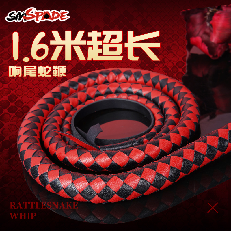 BDSM training whip