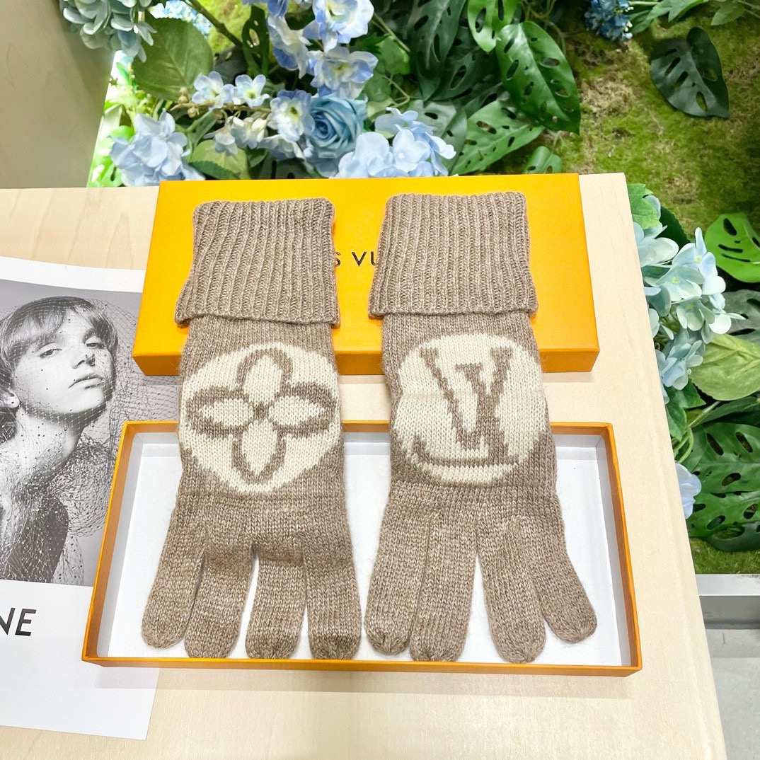 TOP Louis Vuitton LV  Gloves-4 Colors