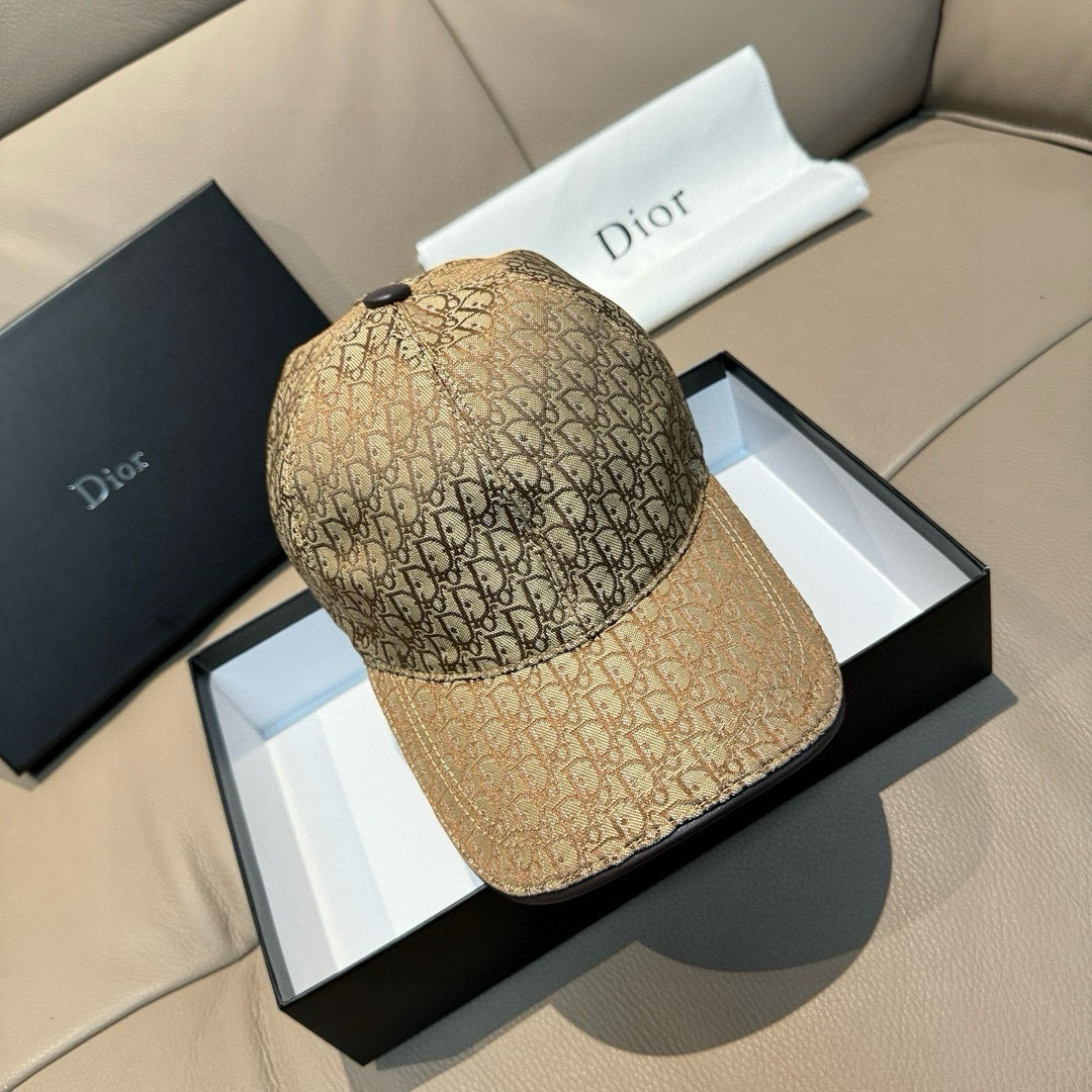 TOP Christian Dior Baseball Hat - 2 Colors