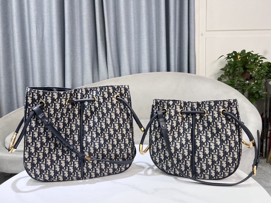 TOP Christian Dior Nolita Bag 2 Sizes - Oblique