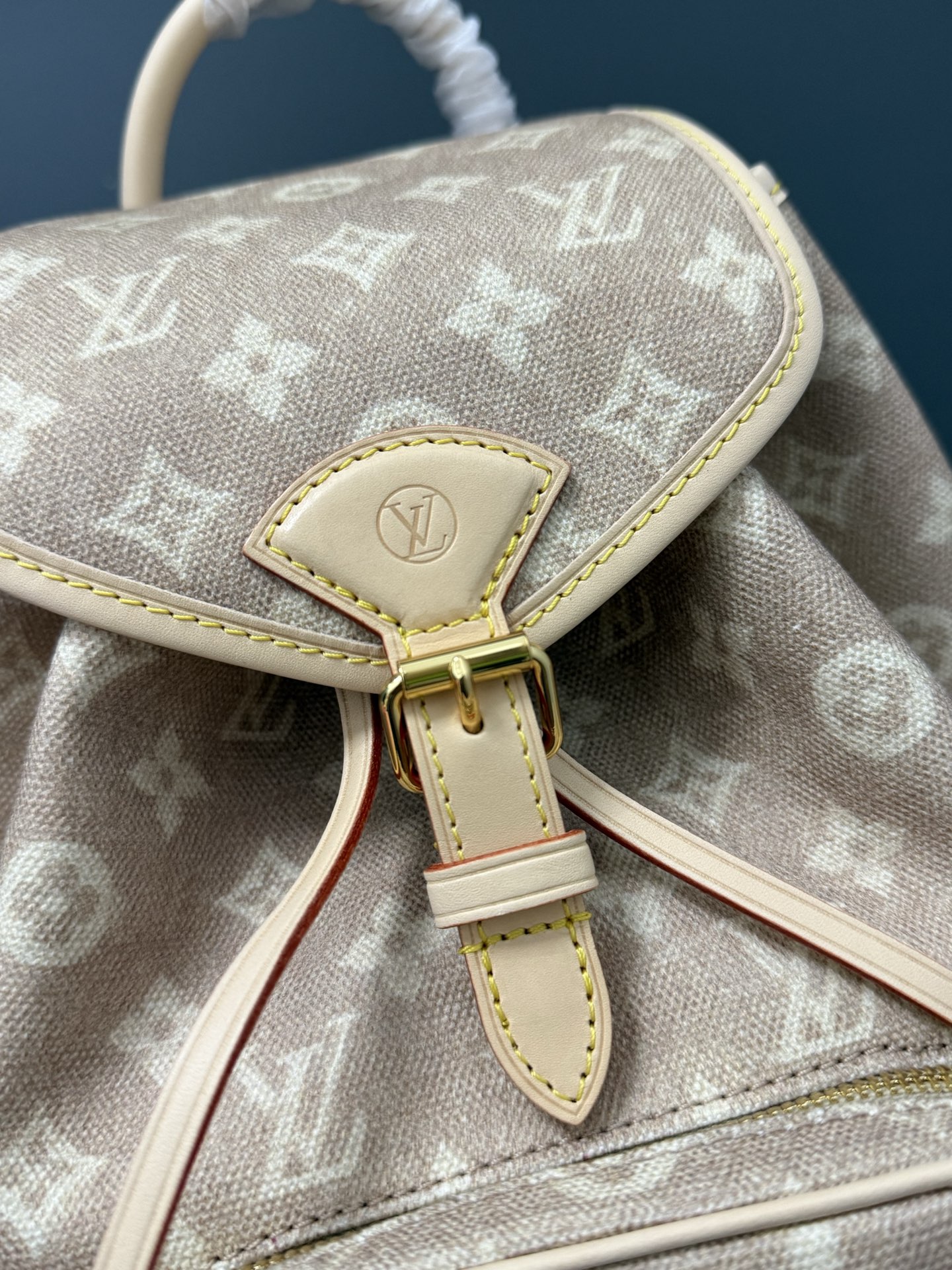 TOP Louis Vuitton LV Travels With Montsouris Backpack 30 x 18 x 28 cm - Beige