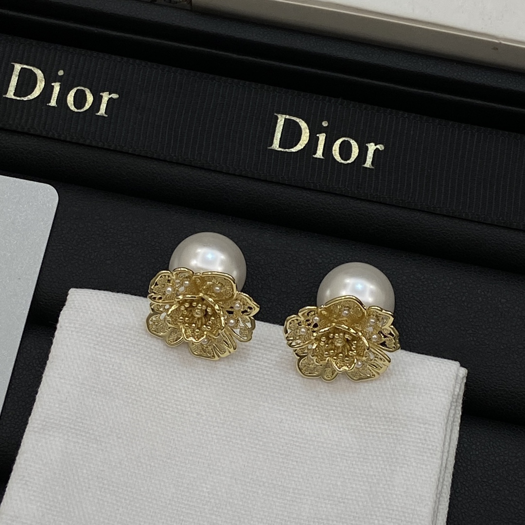 TOP Christian Dior Earrings - Gold