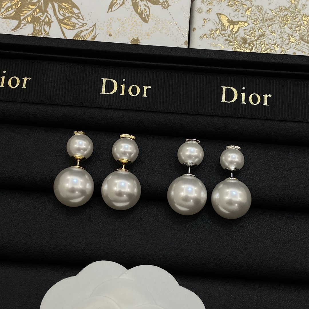 TOP Christian Dior Earrings-2 Colors