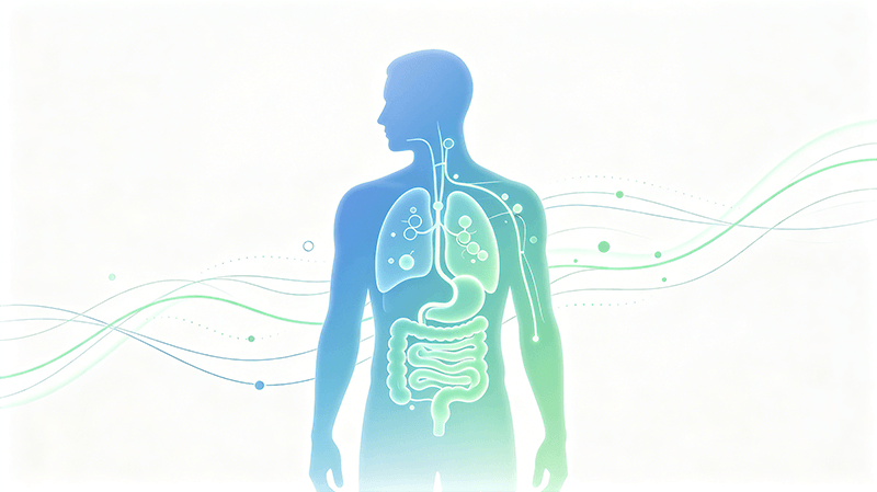 GLP-1 weight loss concept medical illustration