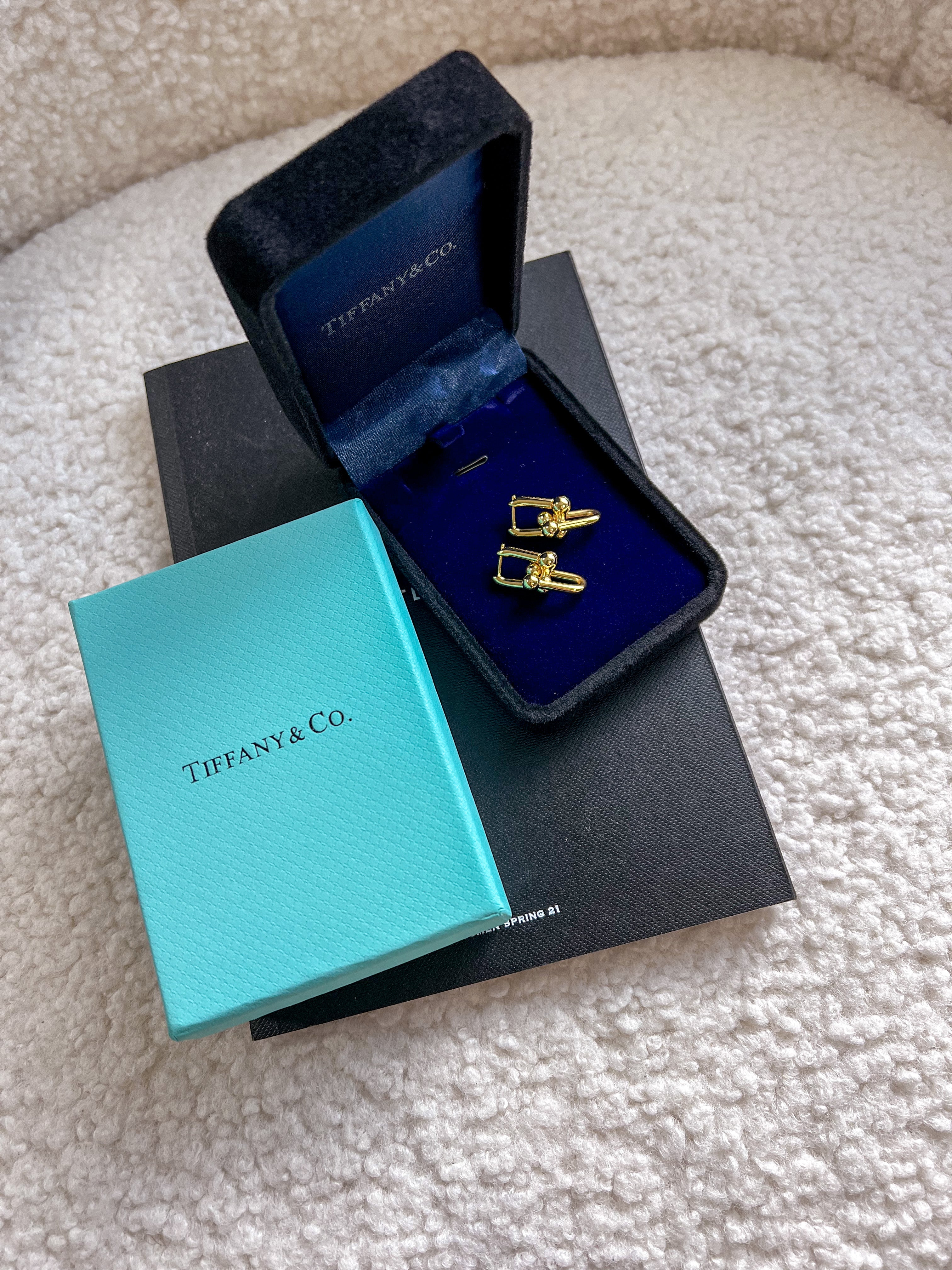 TOP Tiffany & Co. Link Earrings - Gold