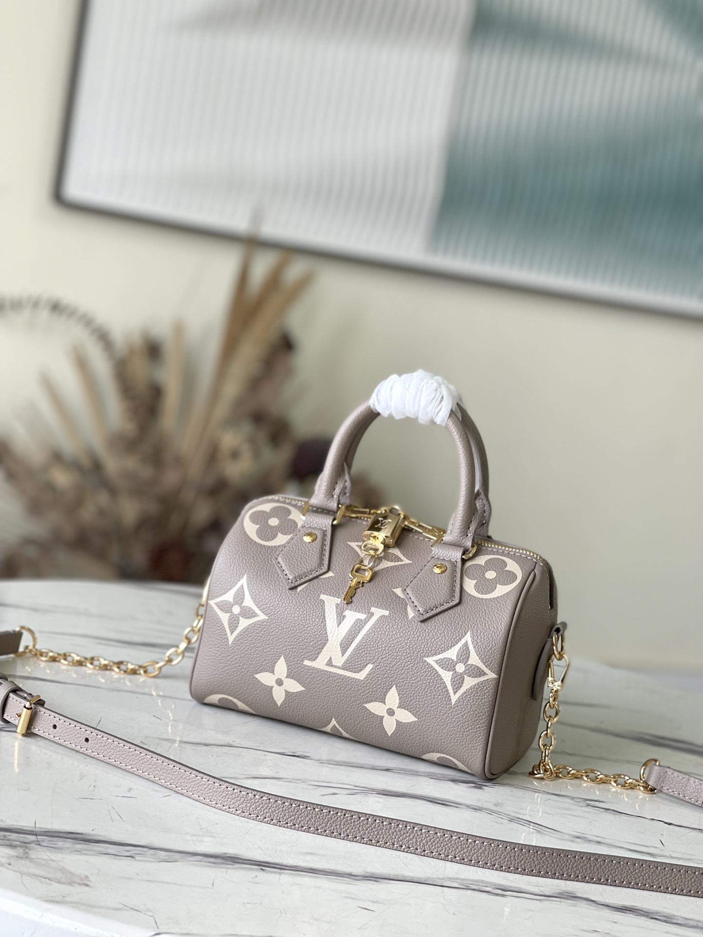 Louis Vuitton Speedy Bandouliere Grey M46575