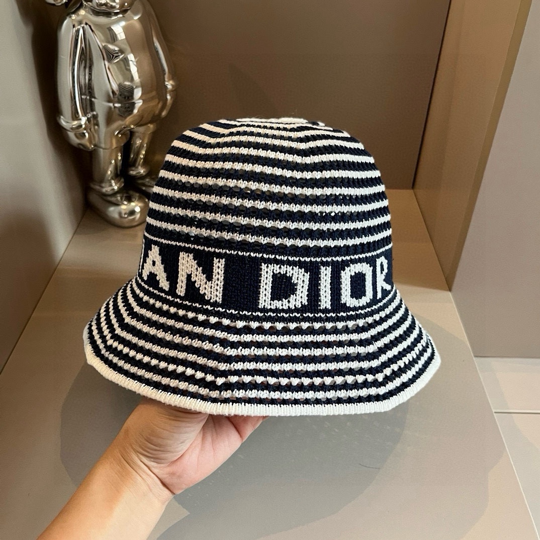 TOP Christian Dior Knit Hat   - 2 Color