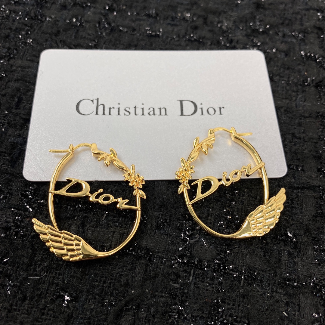 TOP Christian Dior  Earrings
