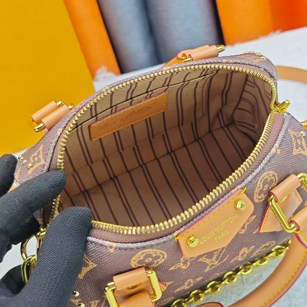 Louis Vuitton Speedy Trunk 20 (7A regular version)