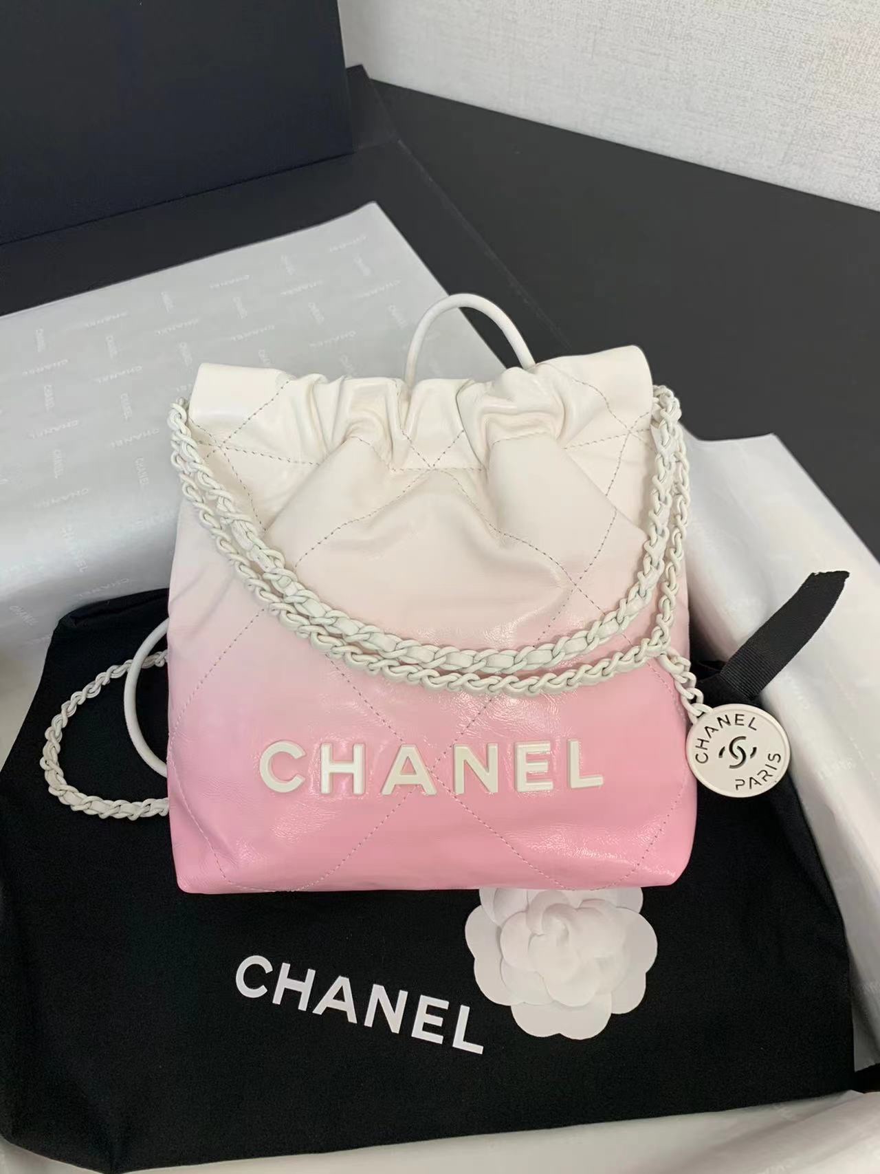 TOP CHANEL 24ss Latest Mini 22 Bags 19x20x6cm - Pink Paired With White