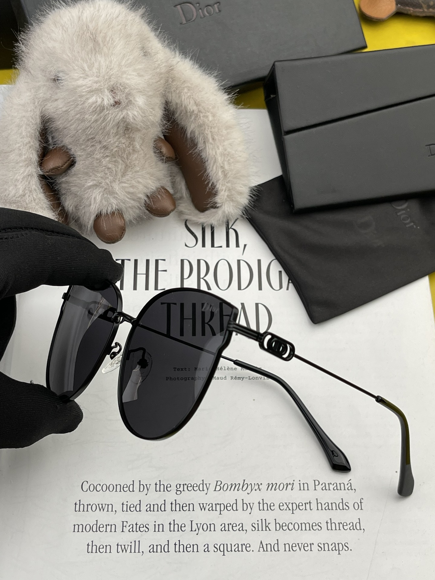 TOP Christian Dior Sunglasses - 3 Color