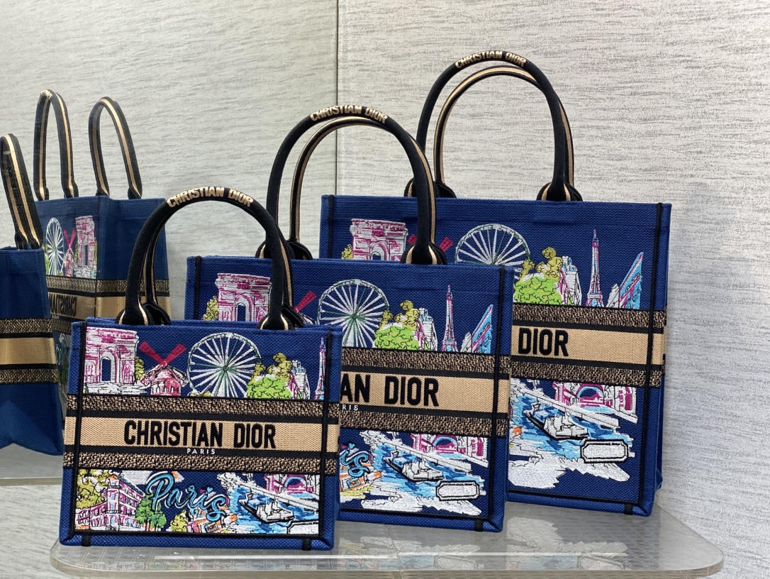 TOP Christian Dior  Book Tote Bag - 3 Sizes - Blue