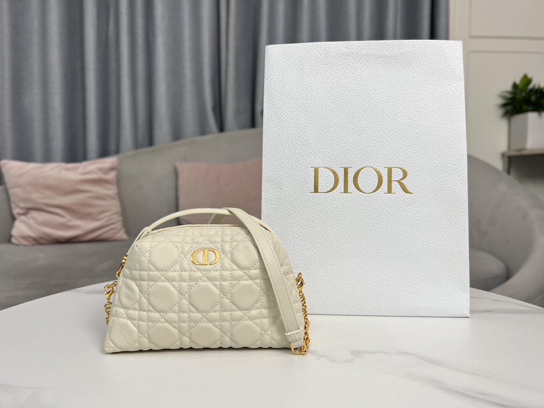 TOP Christian Dior Caro Mini Shell Bags 21×12.5×8cm - 4 Colors