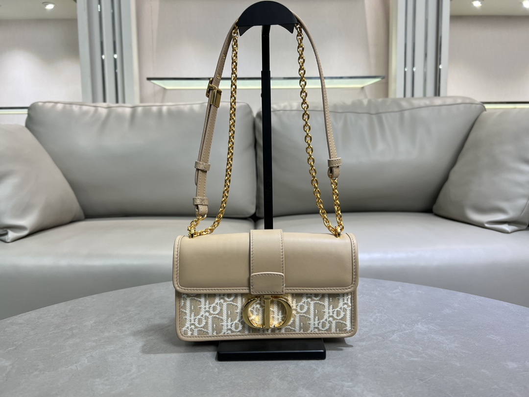 TOP Christian Dior  East-West Bag 21 x 12 x 6cm - Brown