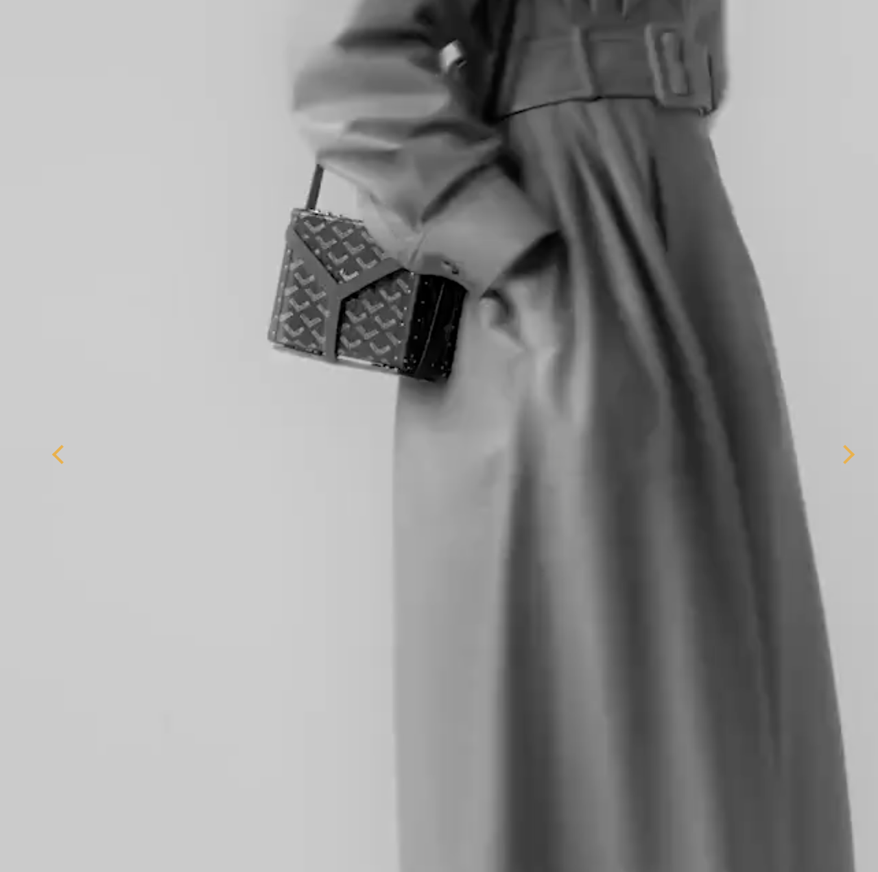 Goyard Minaudière Trunk Bag(Replica)