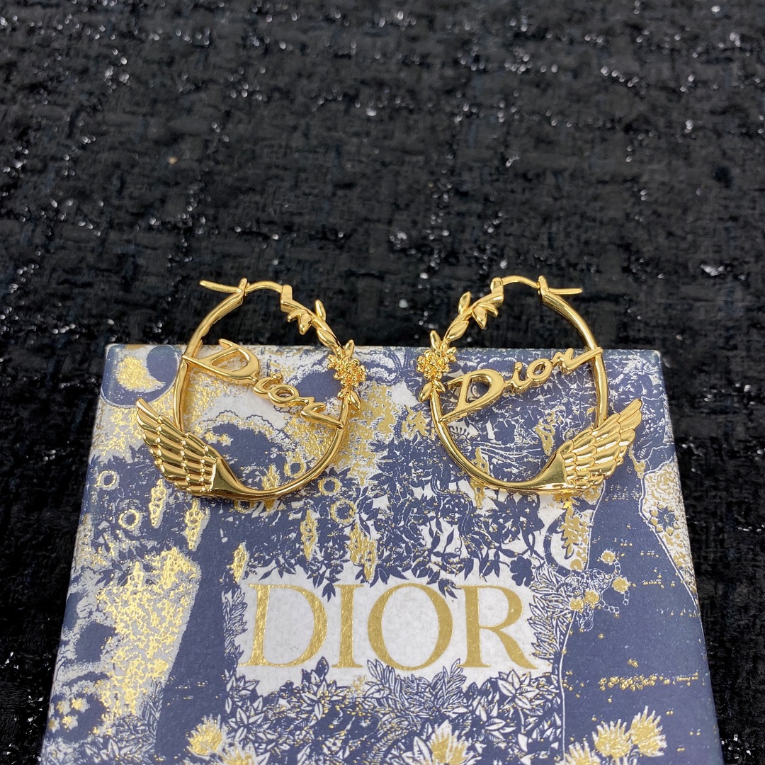 TOP Christian Dior  Earrings