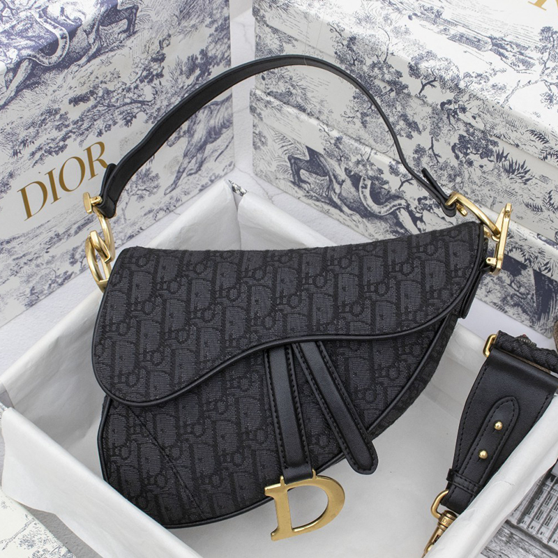 Dior SADDLE Bag（10A Mirror Version）