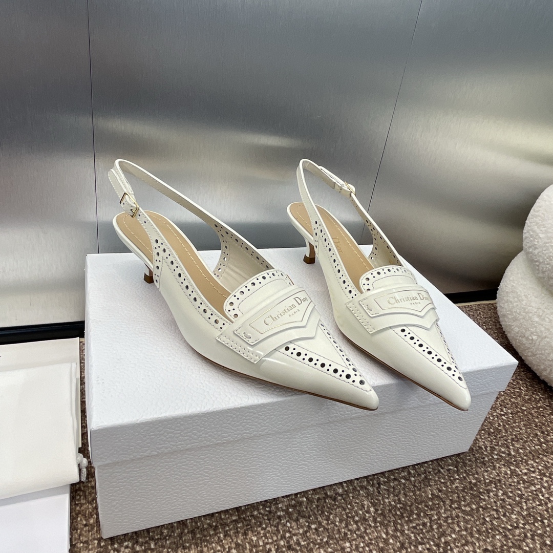 TOP Christian Dior Boy-D Mid/High Heel Pumps - White, Black
