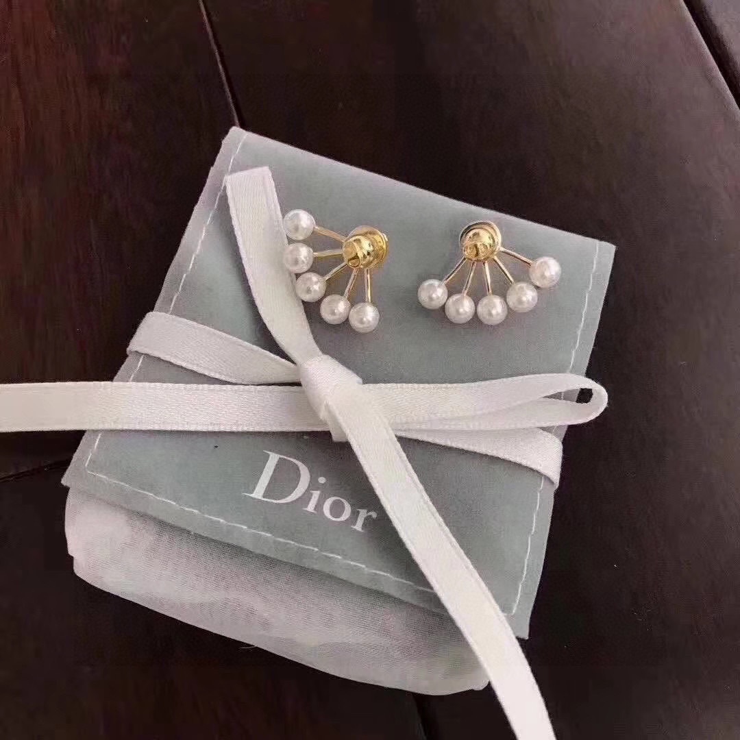 TOP Christian Dior Earring