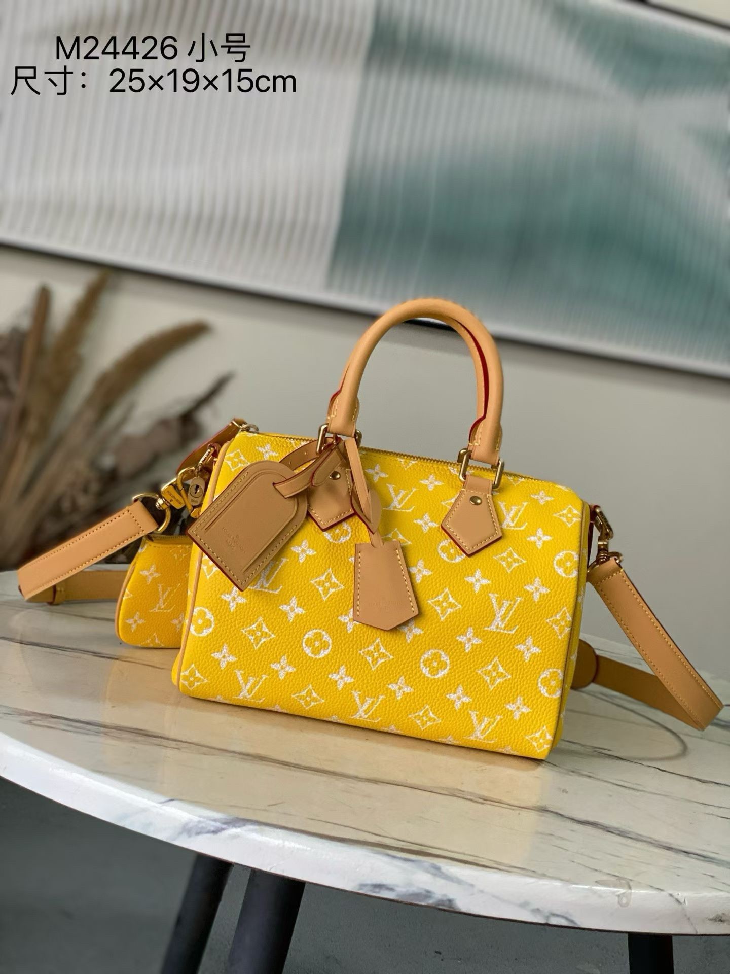 TOP Louis Vuitton LV Speedy 25 Bandoulière Bag 25x15x15cm - 2 Colors