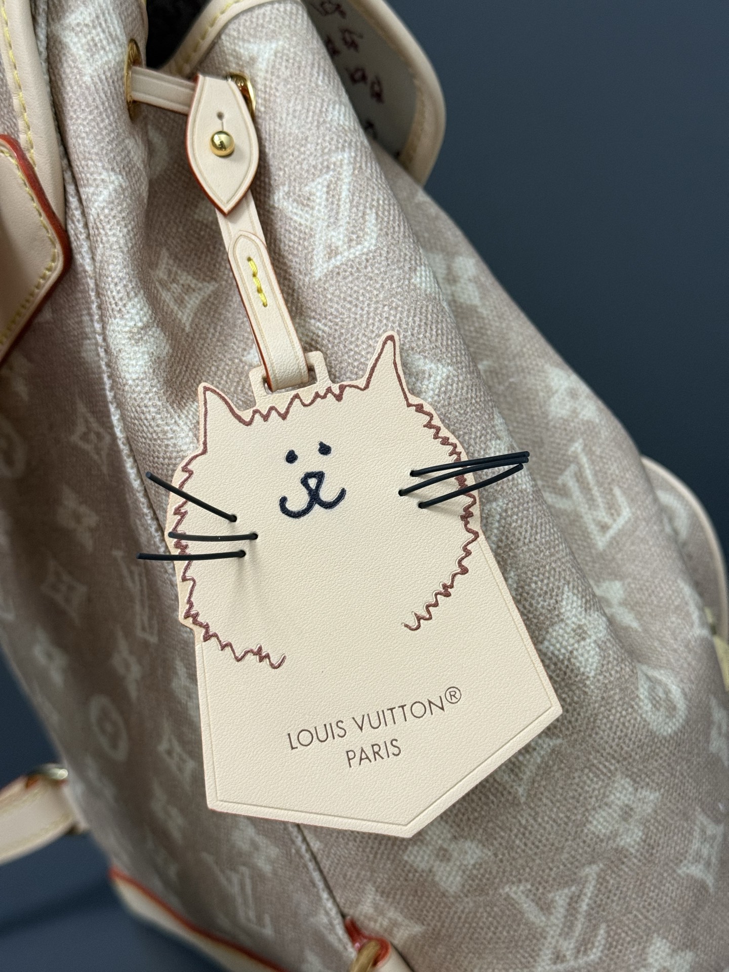 TOP Louis Vuitton LV Travels With Montsouris Backpack 30 x 18 x 28 cm - Beige