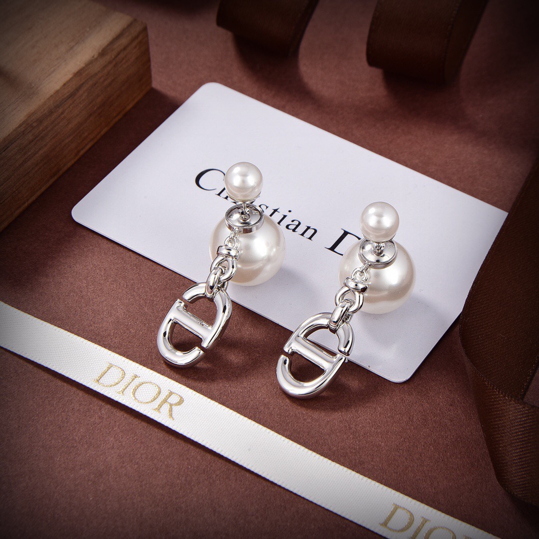 TOP Christian Dior CD silver earrings