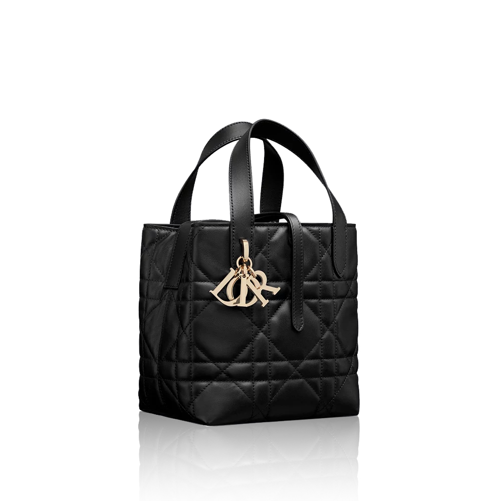Dior Small Dior Toujours Vertical Tote Bag （10A Mirror Version）