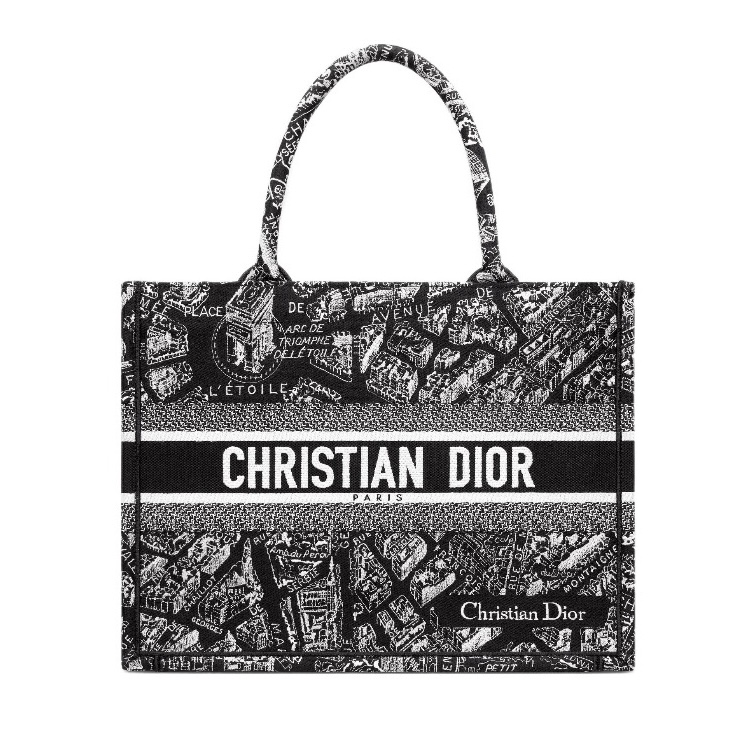 DIOR Book Tote Paris Map Bags(Replica)