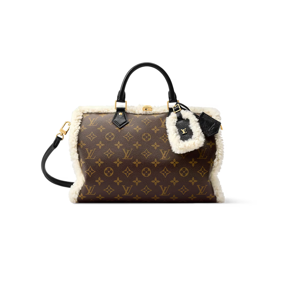 Louis Vuitton Speedy Soft 30 Teddy（10A Mirror Version）