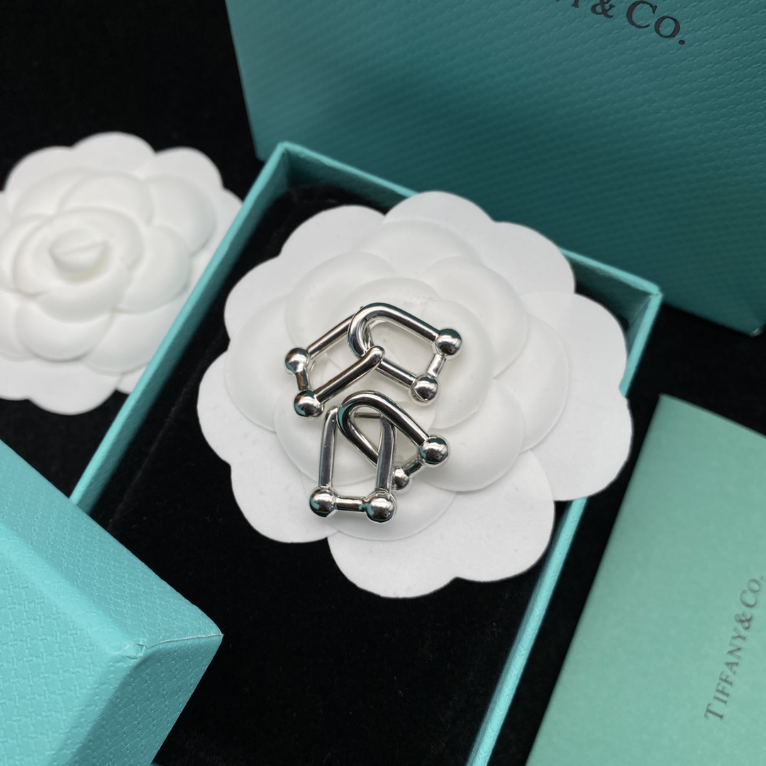 TOP Tiffany & Co. Link Earrings - Silver