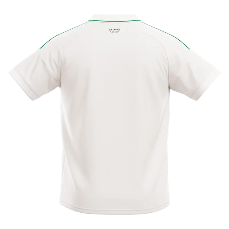 Wales Away Soccer Jersey World Cup 2026