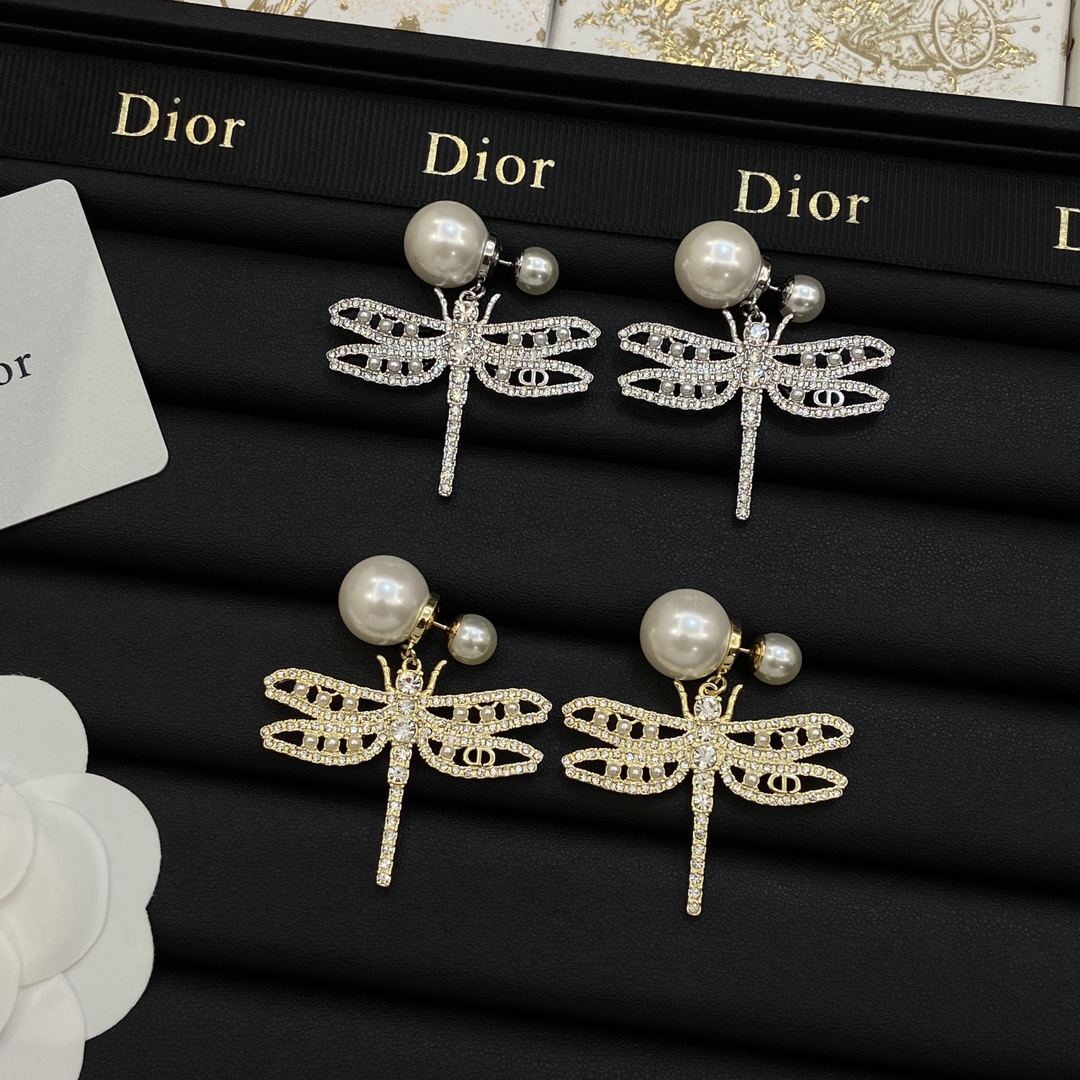 TOP Christian Dior Earrings-2 Colors