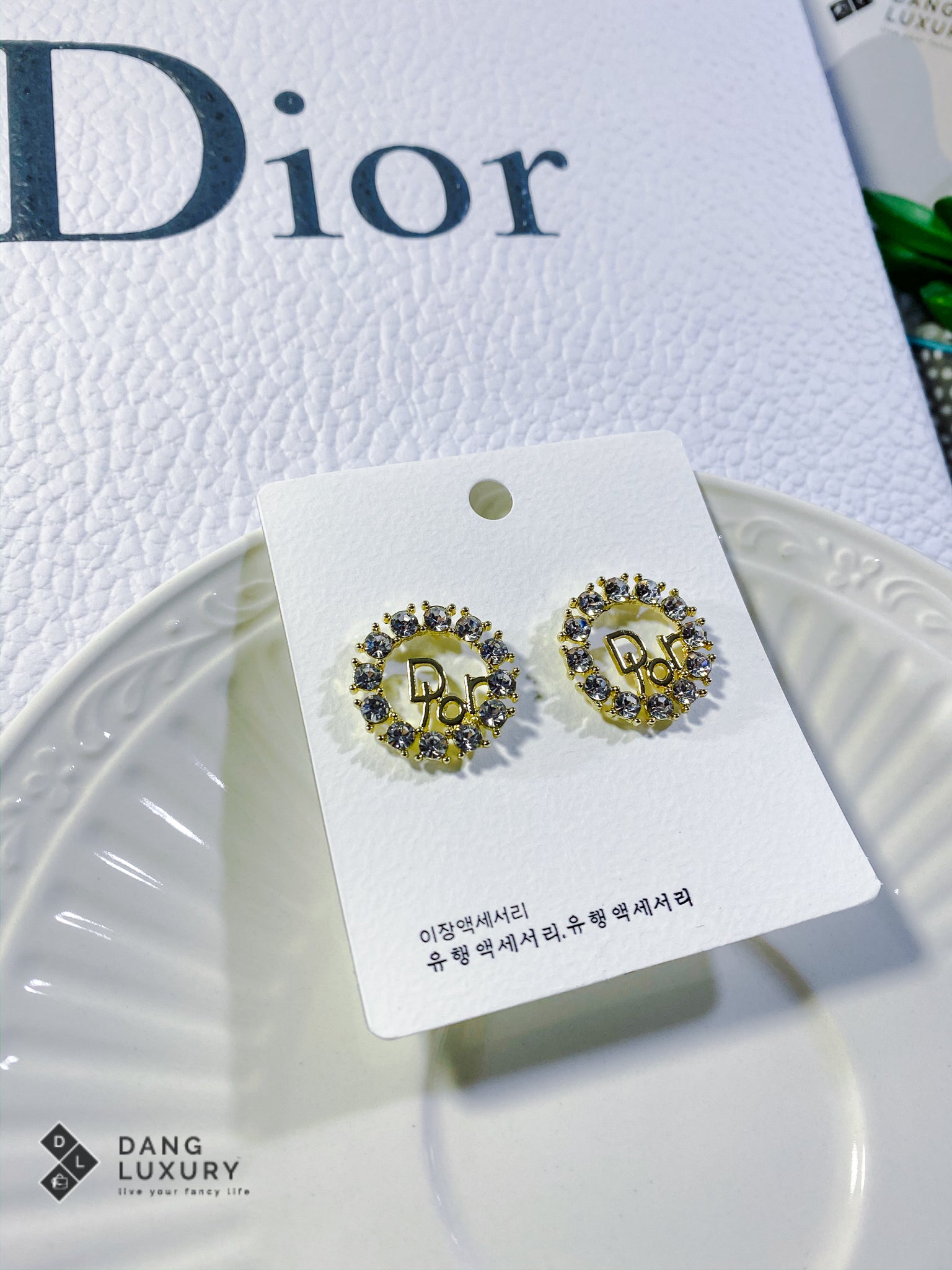 TOP Christian Dior Queen Stud Earrings