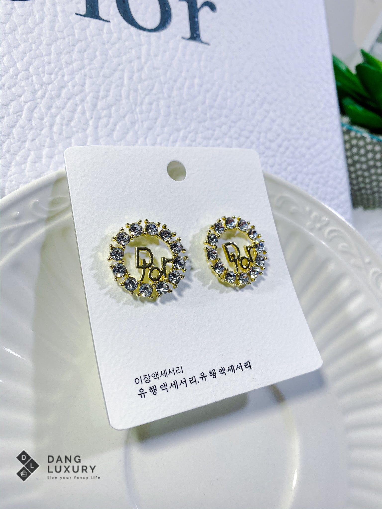 TOP Christian Dior Queen Stud Earrings